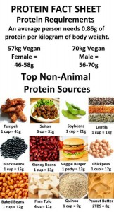 Protein Fact Sheet