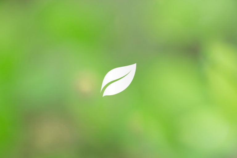 Plant Based Dietitian Blog Img