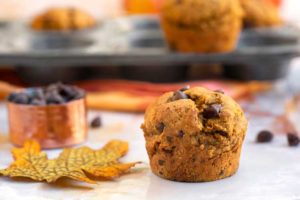 Chocolate Chip Pumpkin Muffins