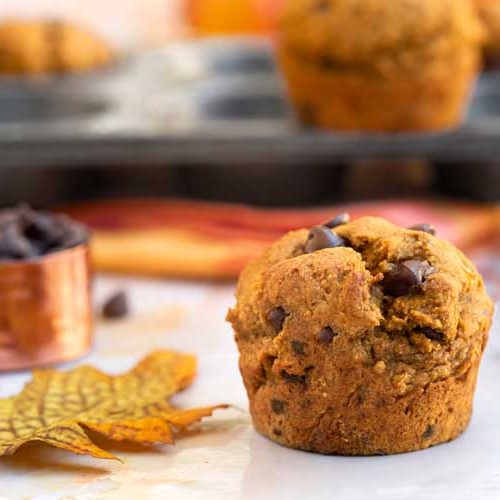 Chocolate Chip Pumpkin Muffins